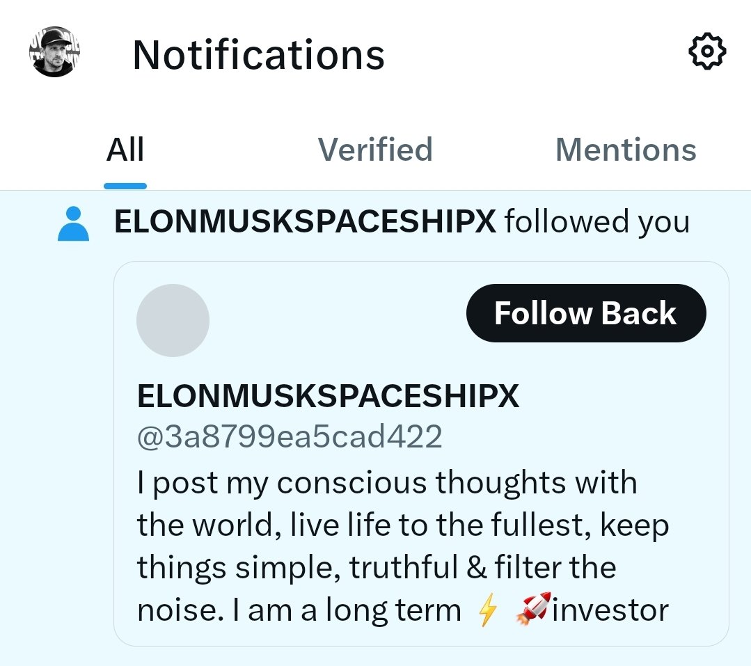 47.2% of the accounts following me are like this....