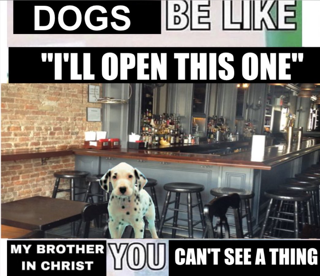 do u guys know about this joke please im going insane laughing