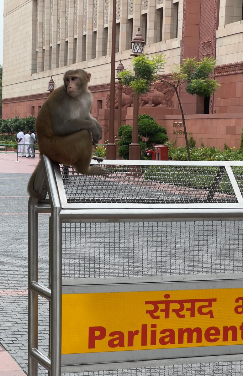 Bijendra Singh tweet media