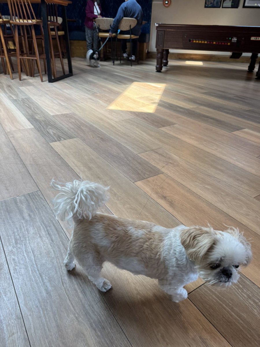 ✨Darth Rubykins✨🐶🐾 (@darth_rubykins) on Twitter photo <a href="/guccidog2020/">Admiral GucciDog #zombiebullz #ZSHQ</a> Pet fwendly caravan park. Even da cluhouse (!) so Dadda can have a beer and mum can haf her gin muck. <a href="/guccidog2020/">Admiral GucciDog #zombiebullz #ZSHQ</a> Pet fwendly caravan park. Even da cluhouse (!) so Dadda can have a beer and mum can haf her gin muck.