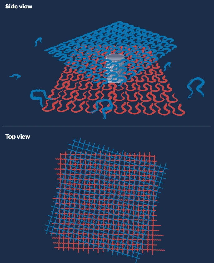 Greg Tikhomirov (@nanoassembly) on Twitter photo Can we implement moiré with DNA self-assembly?
We wrote a News and Views article for Laura Na Liu’s lab exciting work showing how to implement an exotic physics concept with DNA self-assembly.
nature.com/articles/s4156… Can we implement moiré with DNA self-assembly?
We wrote a News and Views article for Laura Na Liu’s lab exciting work showing how to implement an exotic physics concept with DNA self-assembly.
nature.com/articles/s4156…