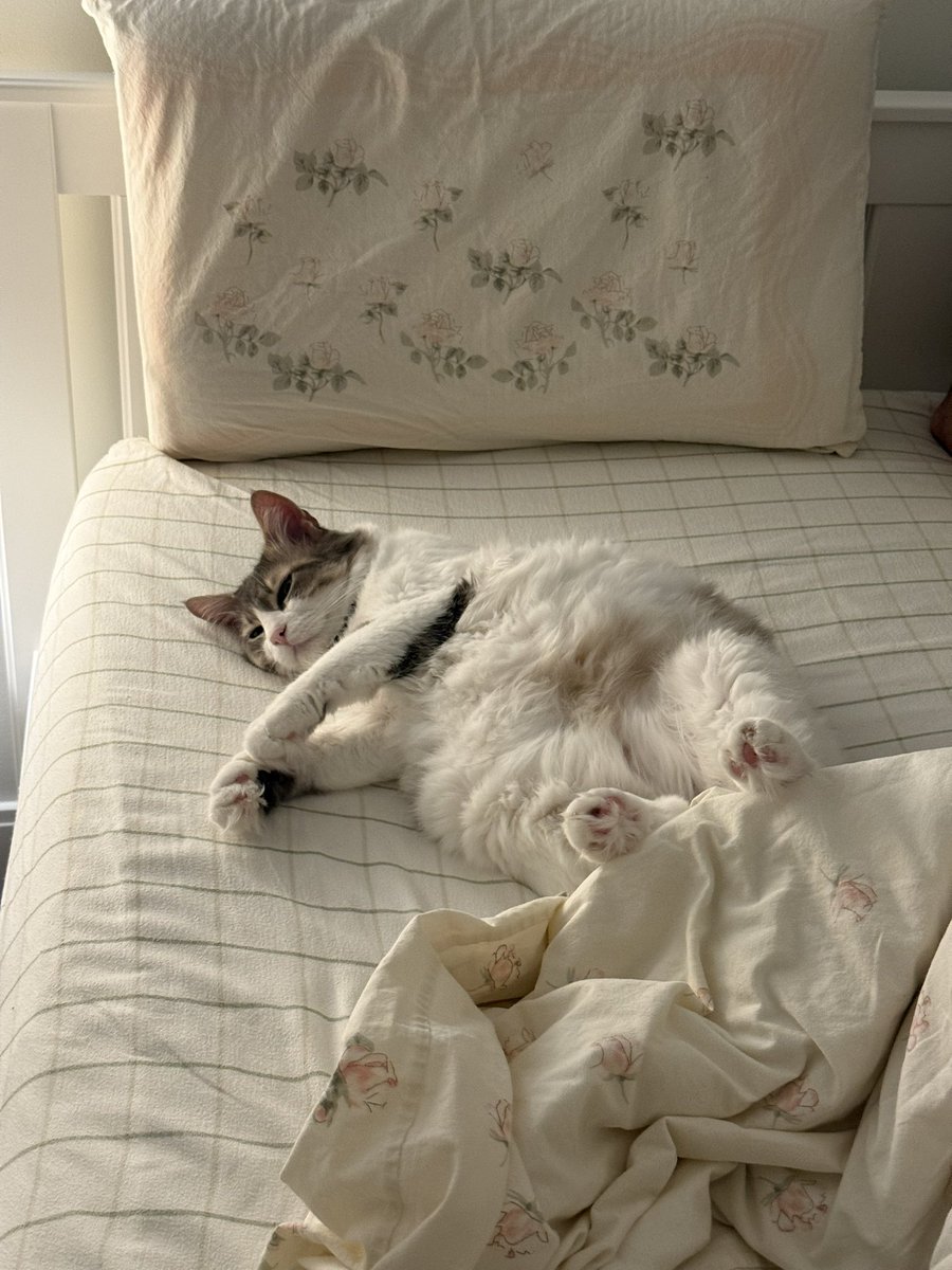 öğlen onbeş dk kestireyim dedm 
saat akşan 7 olmuş