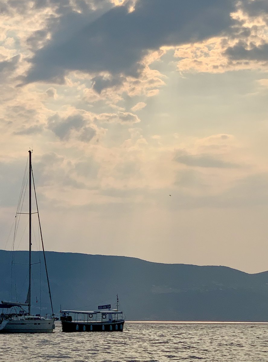 Natasha (@londonabstract) on Twitter photo 