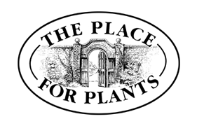 DungerRob's tweet image. END OF A GARDENING ERA
The Place For Plants @placeforplants in East Bergholt is TO CLOSE
On this Sunday&apos;s &quot;Suffolk in Bloom&quot; from 9am on @Suffolk_Sound, @BarbaraSegall  taalks to Sara Eley
Listen live at suffolksound.com | On smart speakers | via our app on mobile devices