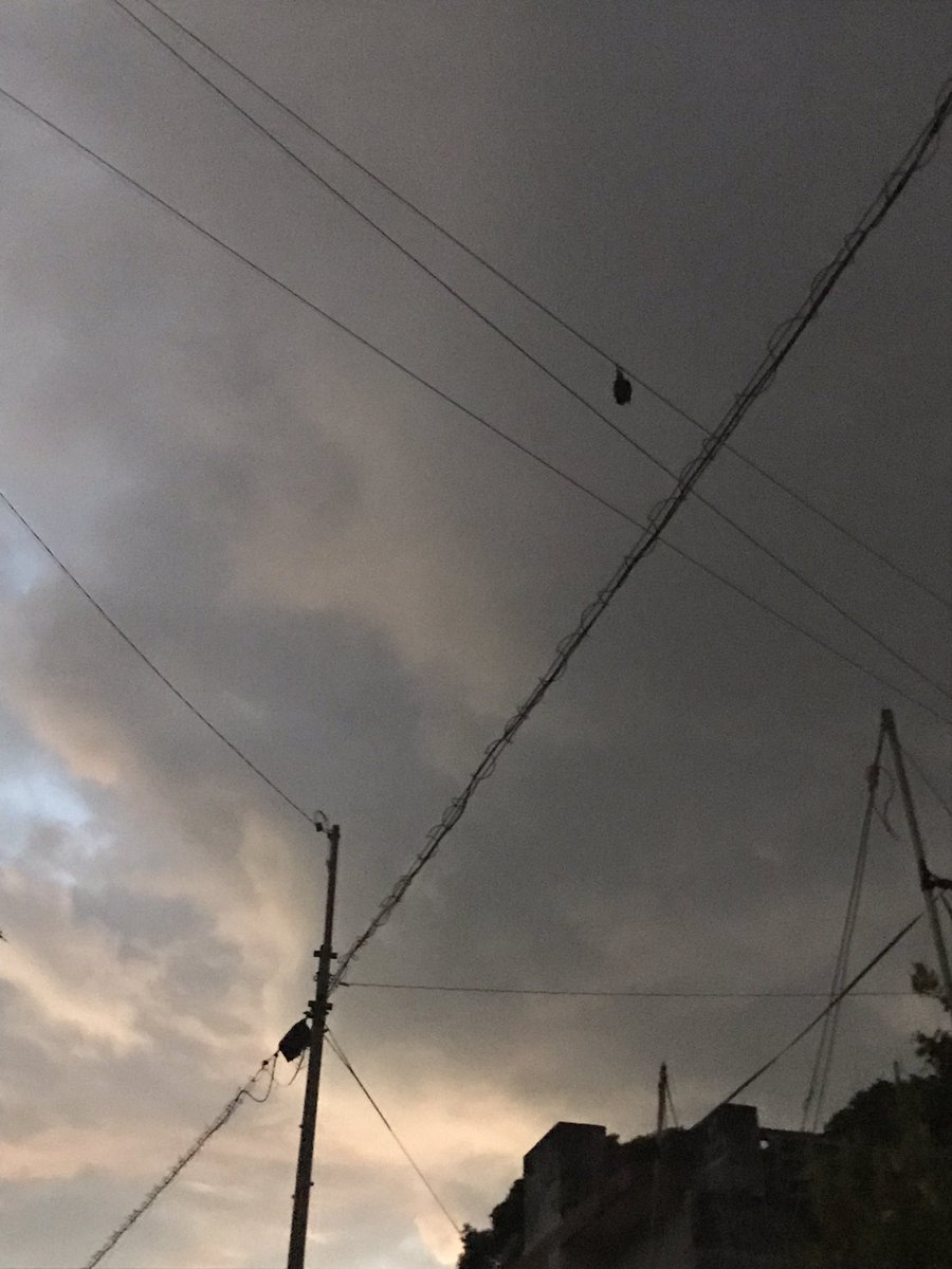 kkkkab's tweet photo. 蝙蝠を見上げる https://t.co/L18EsAoU6a