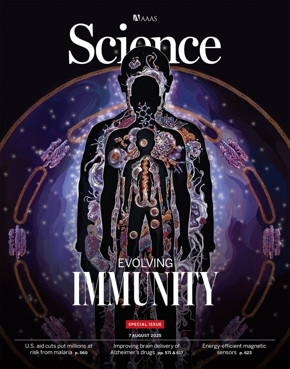 ScienceMagazine's tweet photo. A new special issue of Science explores the immune system at the molecular and cellular level and how it has evolved to govern multiple facets of human health.  (THREAD 🧵) https://t.co/ElqZXrTjUB https://t.co/9DvVkRnv51