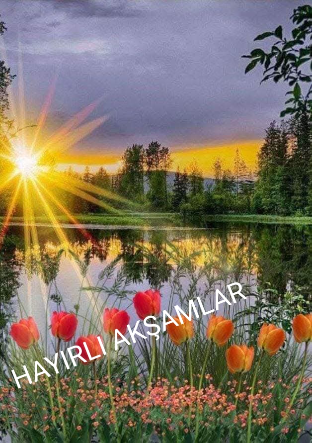 Sedat Arslan (@sedatar37734319) on Twitter photo 