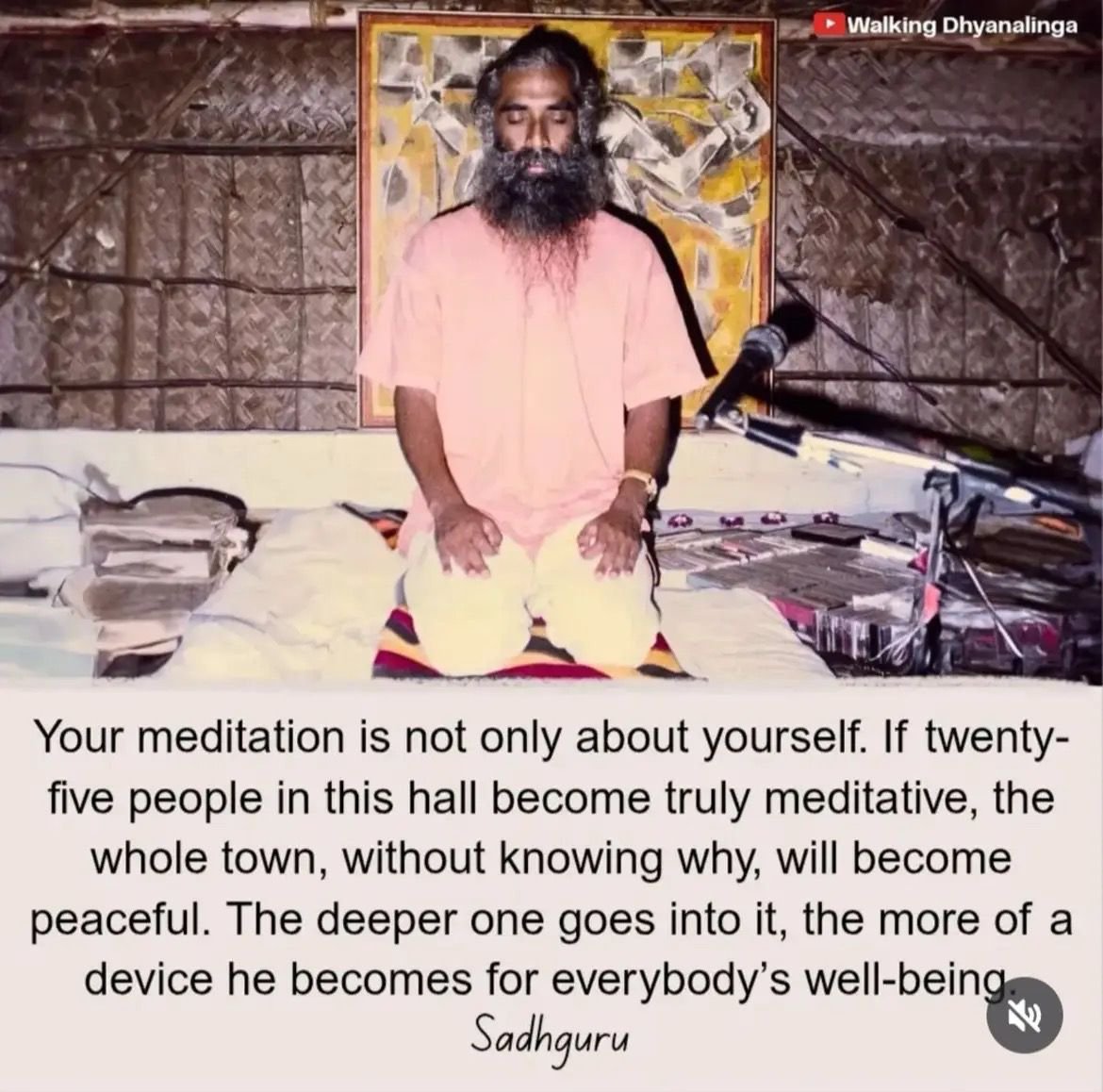 Kush Sareen #SaveSoil tweet media