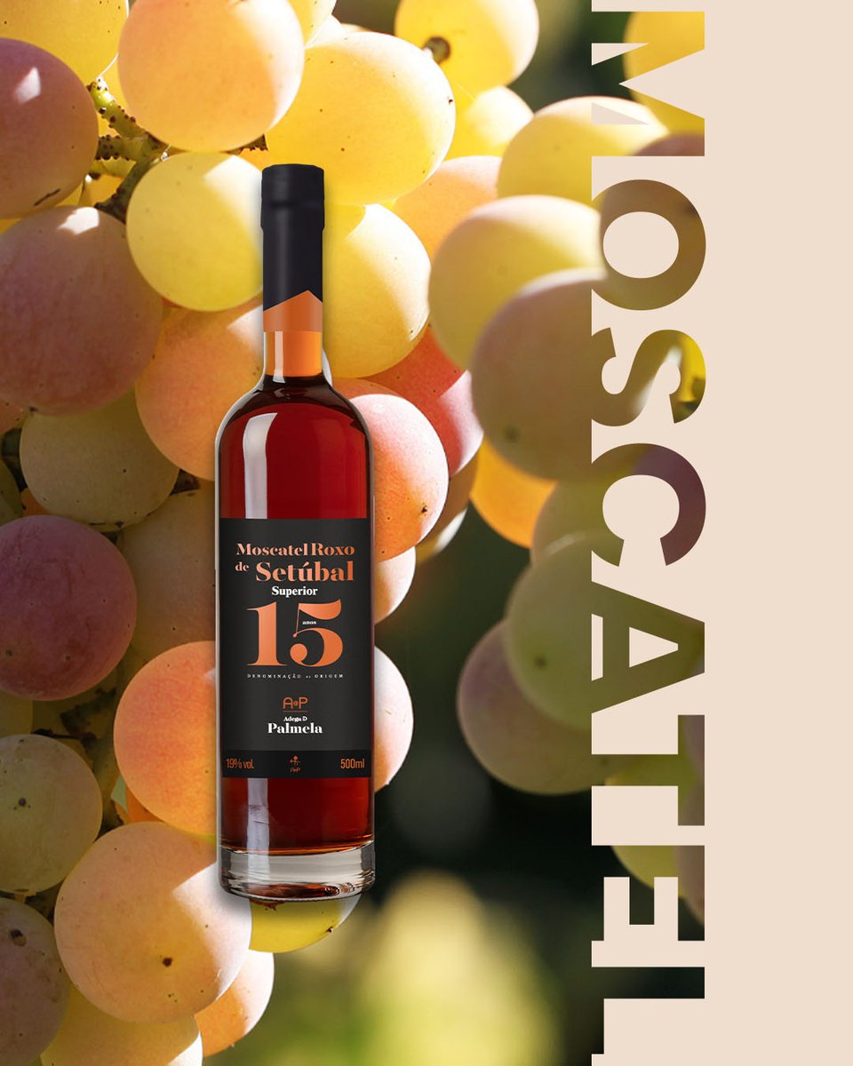🍇 Curiosidades sobre as nossas castas locais
Sabia que a região de Palmela é famosa por algumas das castas mais emblemáticas de Portugal?
✨Castelão
🍯Moscatel
🌿Fernão Pires
Cada casta conta uma história e faz parte da identidade dos nossos vinhos.
Descubra na Adega de Palmela!