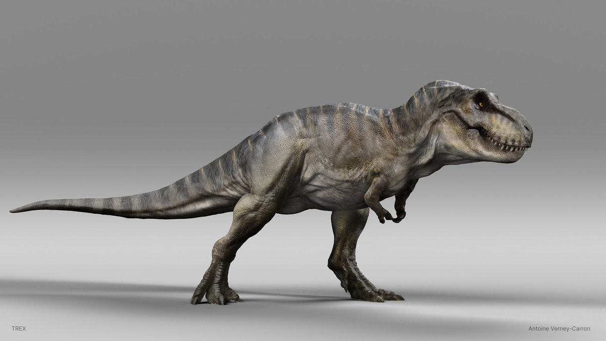 Months later...Finally, here is the basis of my post. I think at the time I was never so precise in referencing a design using another "closer" one. #JurassicWorldRebirth #JurassicWorld #JurassicPark #Tyrannosaurus