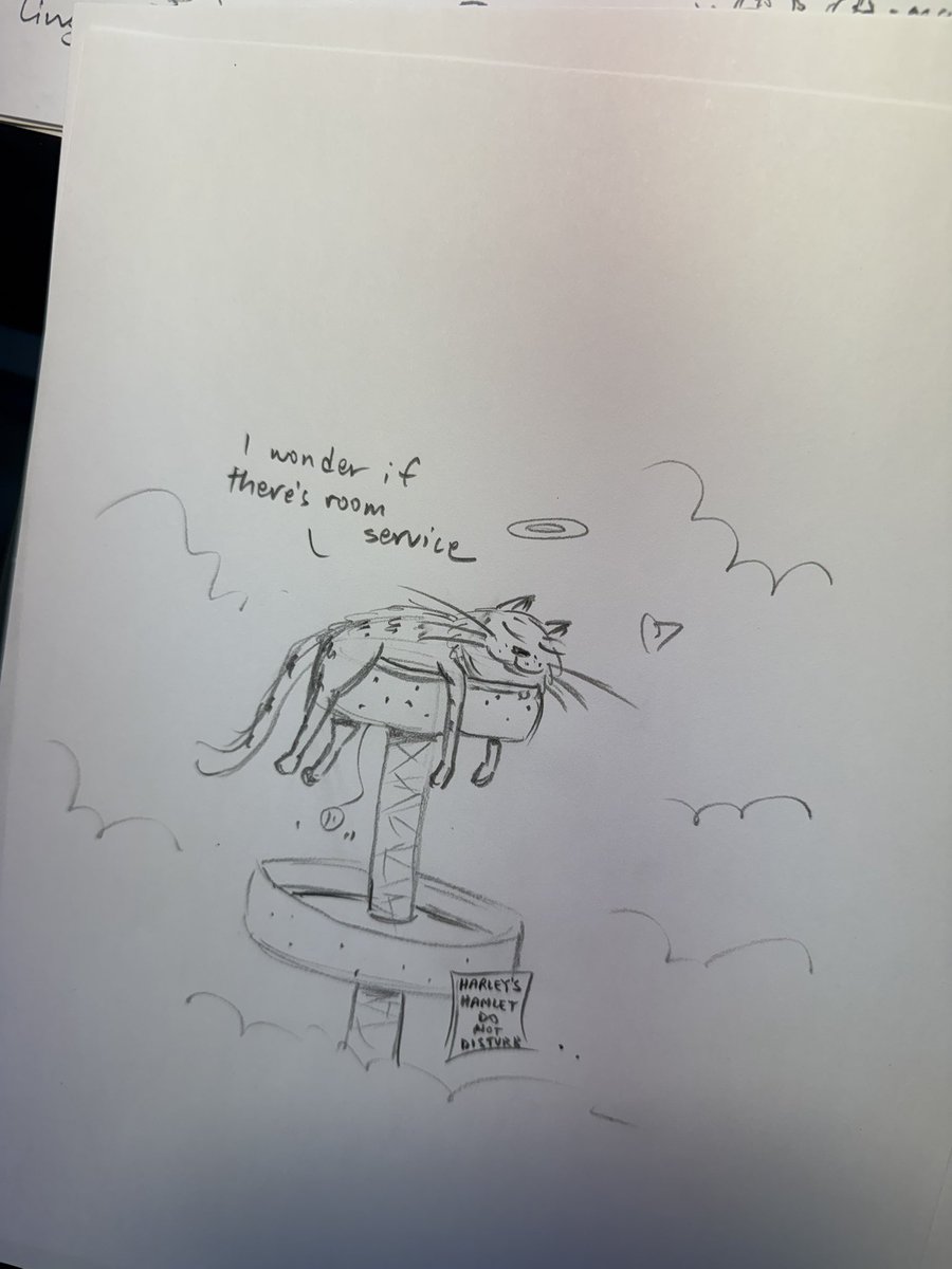 JohnHeim's tweet image. Cats in heaven. 
#concepts