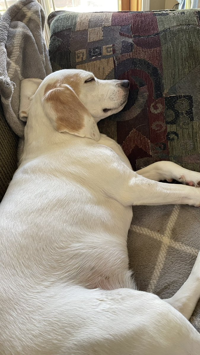 “Dad, could you fluff my pillow?”