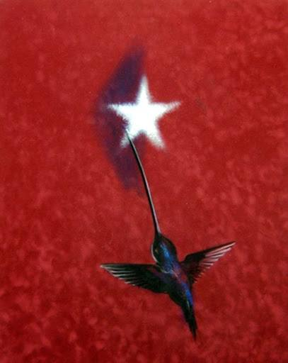 yordan_roberto's tweet photo. En el 99 aniversario de tu natalicio MUCHAS FELICIDADES COMANDANTE EN JEFE #FidelPorSiempre https://t.co/qQQ4aVAhpJ