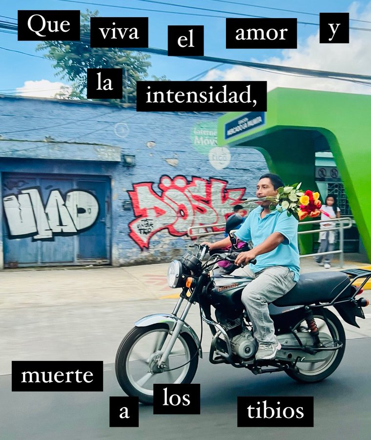 Cultura Literal (@culturaliteral1) on Twitter photo 