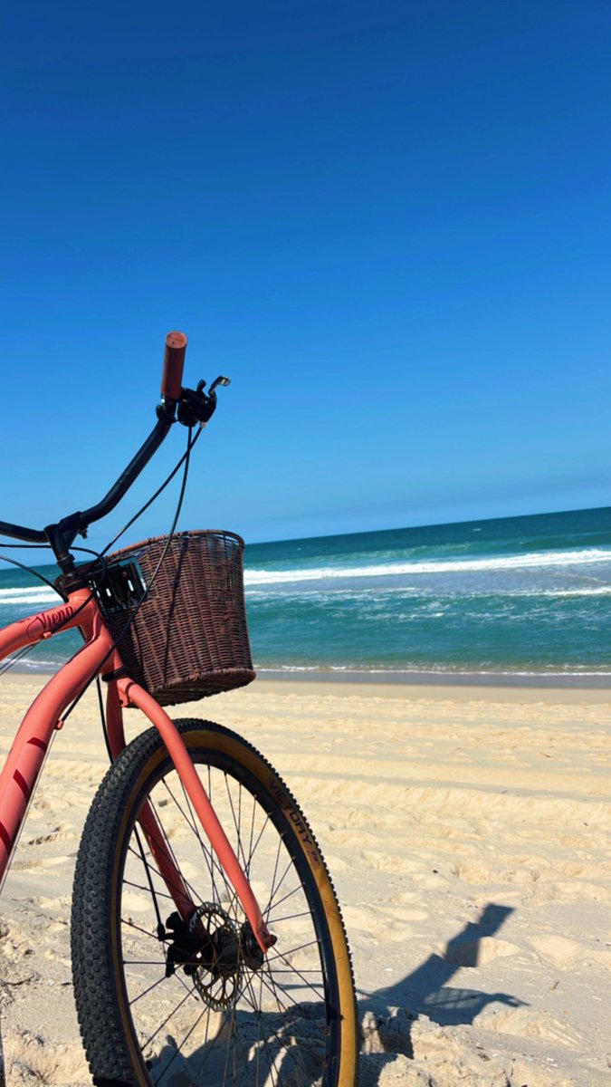 Arlequina da Colina 💢 tweet media