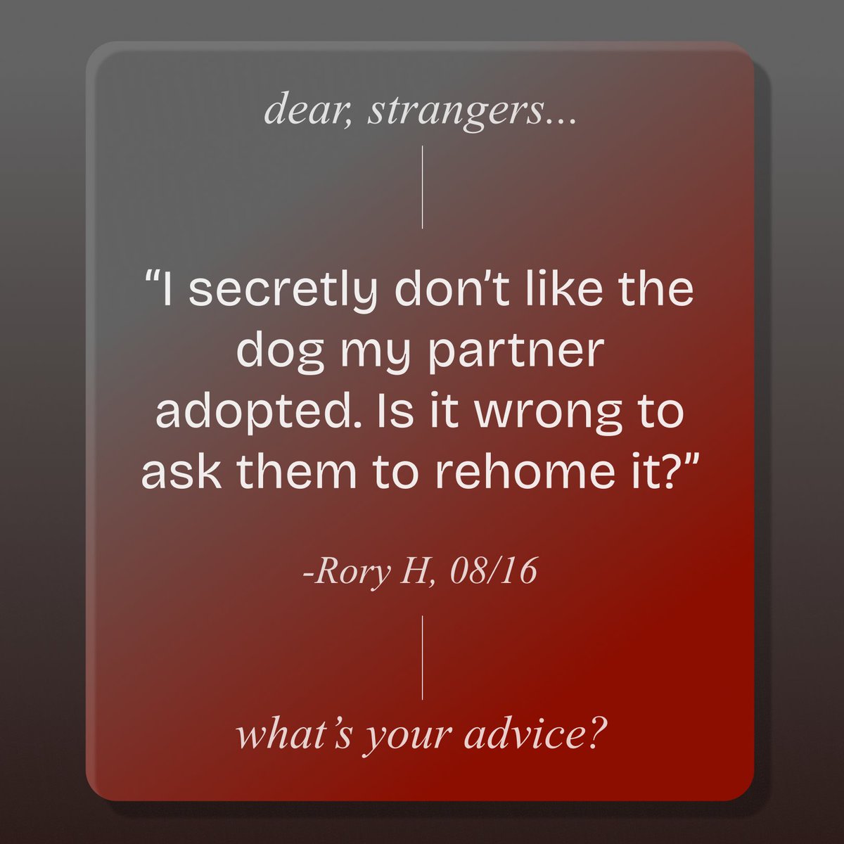 dear__strangers's tweet photo. Strangers, what's your take? 🐶

#confessions #confession #advice #strangershelpingstrangers #strangers #spill #helping #fromonestrangertoanother #helpyallgain #strangerconfessions #helpful #stranger https://t.co/uTBRi6jQYV