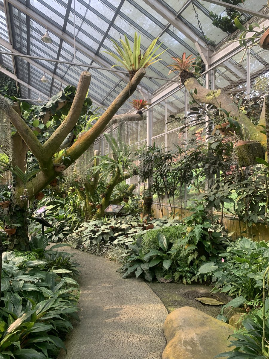 kecoa freestyle tweet media