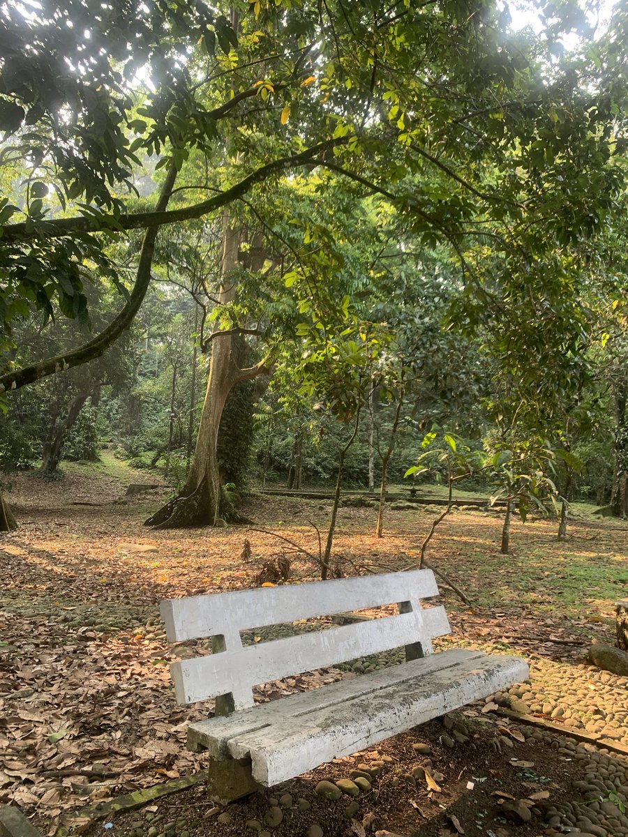 kecoa freestyle tweet media