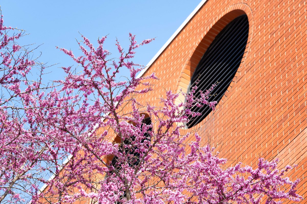 UI Communication Studies tweet media