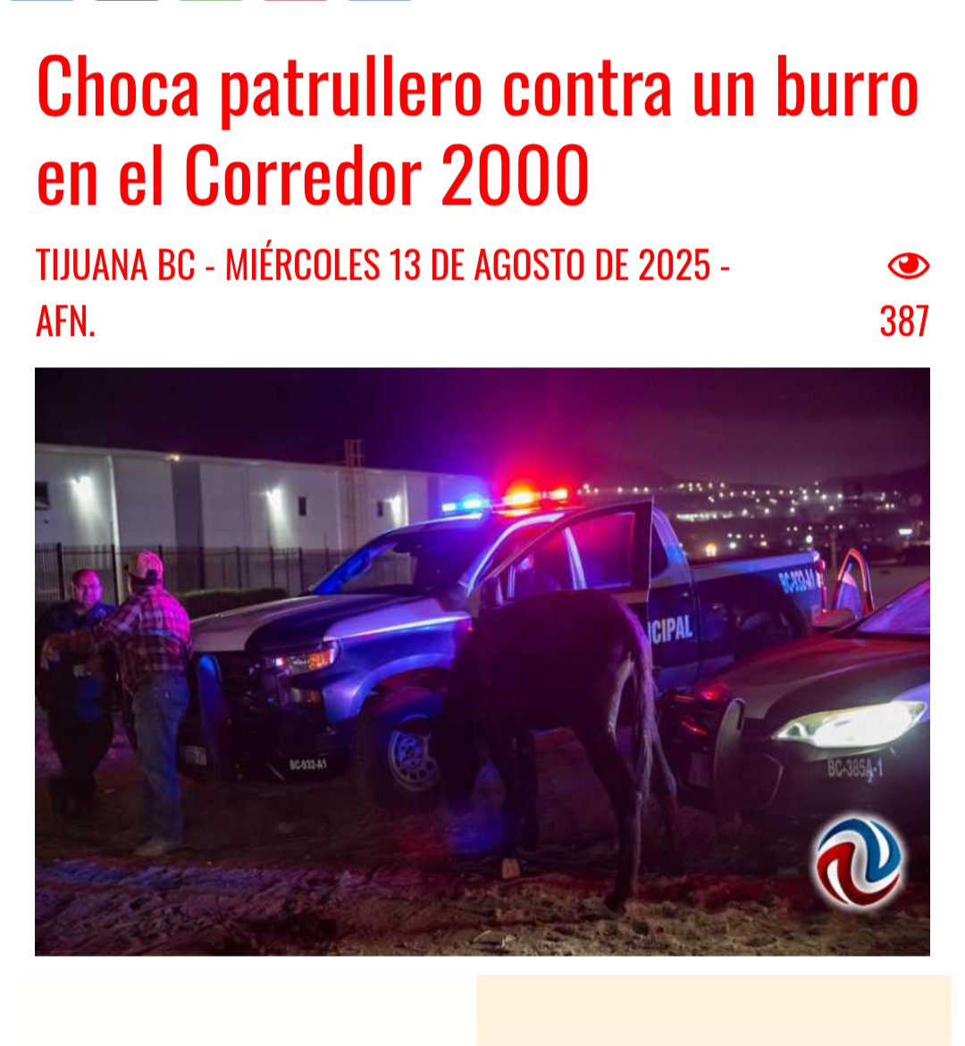 Tijuana Decide tweet media