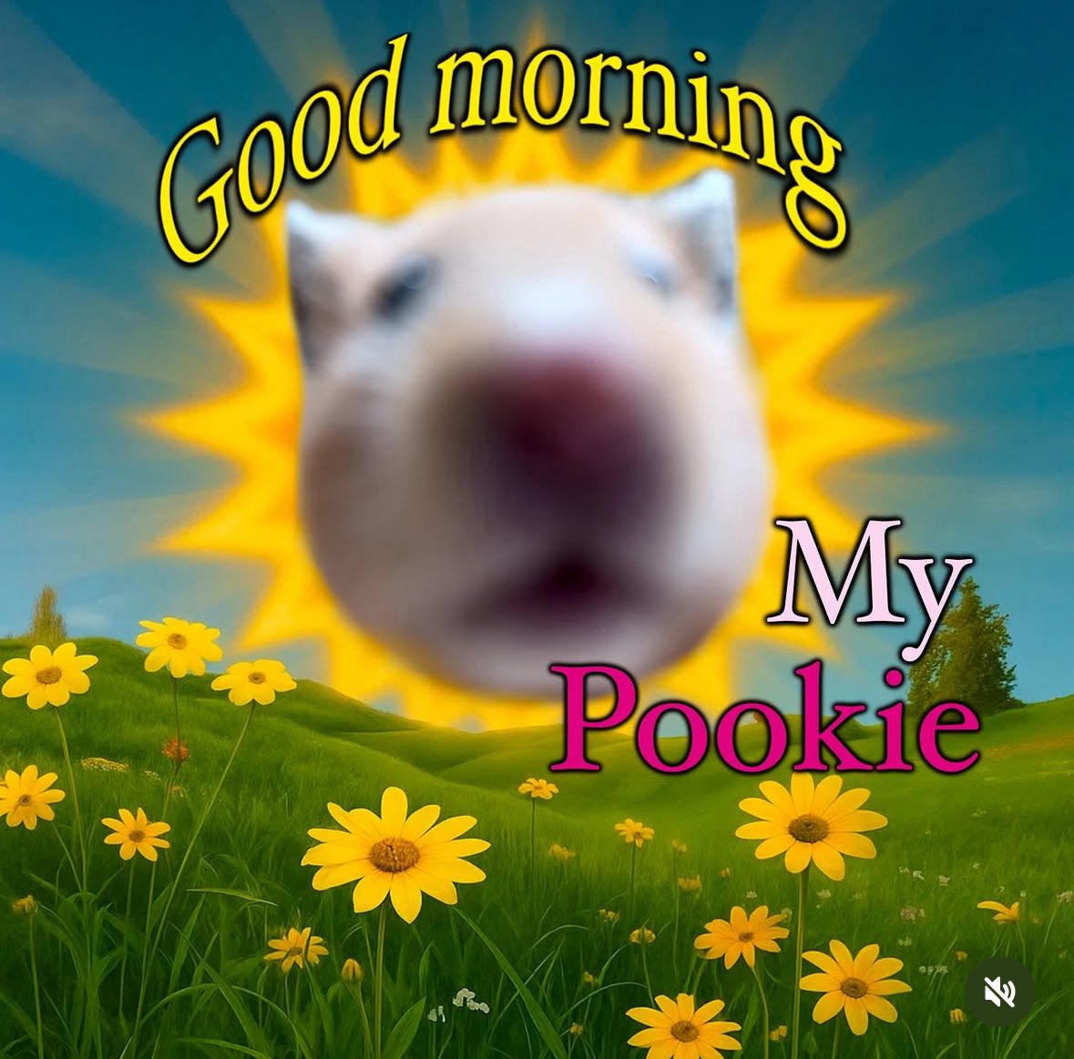 raccoonesthetic's tweet photo. https://t.co/NYA4zLWymJ