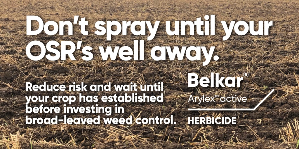 With Belkar®, only tackle the weeds that are visible and don’t spend on herbicides before you know how well your OSR is going to emerge. 

👉 Belkar controls key weeds incl. cleavers, poppy, shepherd's purse &amp; fumitory. 
⏳ Apply from 1 Sep. 
corteva.ie/belkar
#BelkarIsBest