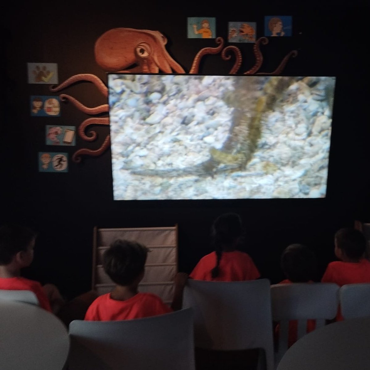 ¡Gracias por un #verano lleno de curiosidad y sonrisas! En el #MuseodelMarSantaPola hemos recibido a numerosos grupos de escuelas de verano infantiles. Esperamos que hayáis aprendido, explorado y soñado tanto como nosotros compartiendo con vosotros💙

 #arte #cultura #SantaPola