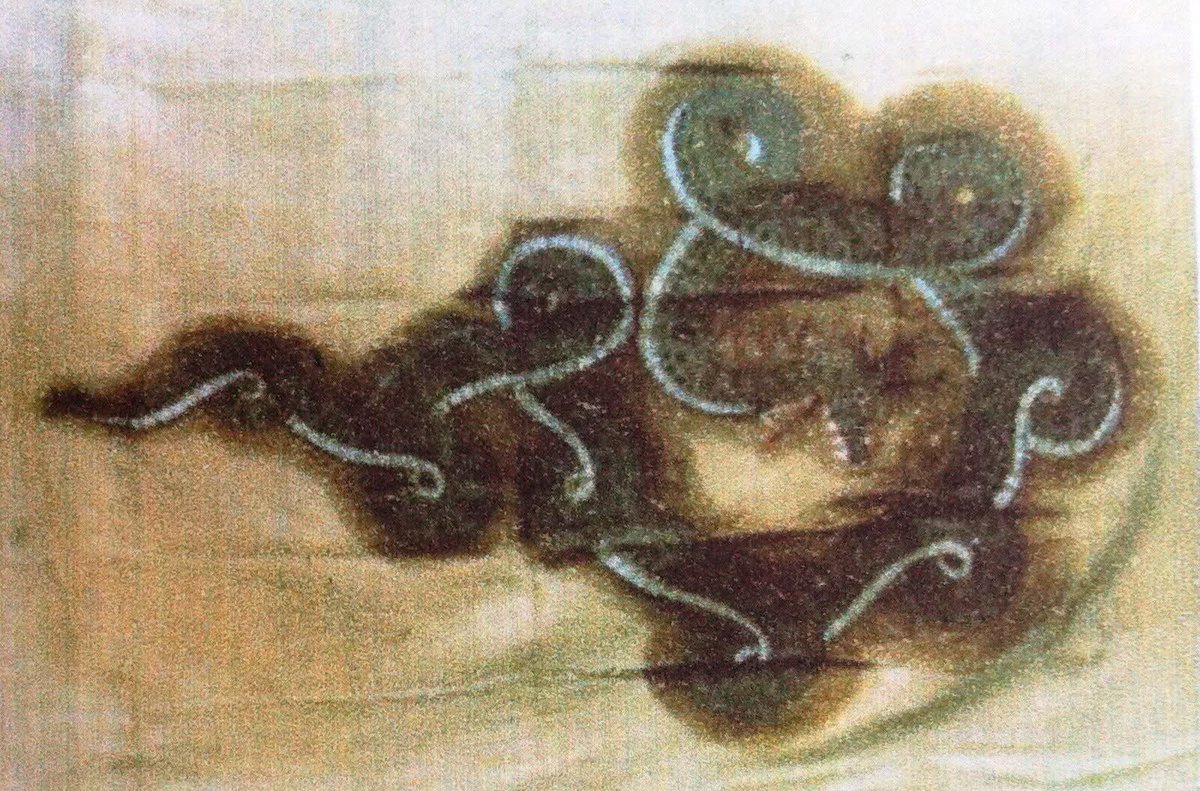 This flag denotes the autonomous kingdom of Manipur while acquiring the state from British rule on 14 August 1947 at Kangla, the traditional capital of Manipur.