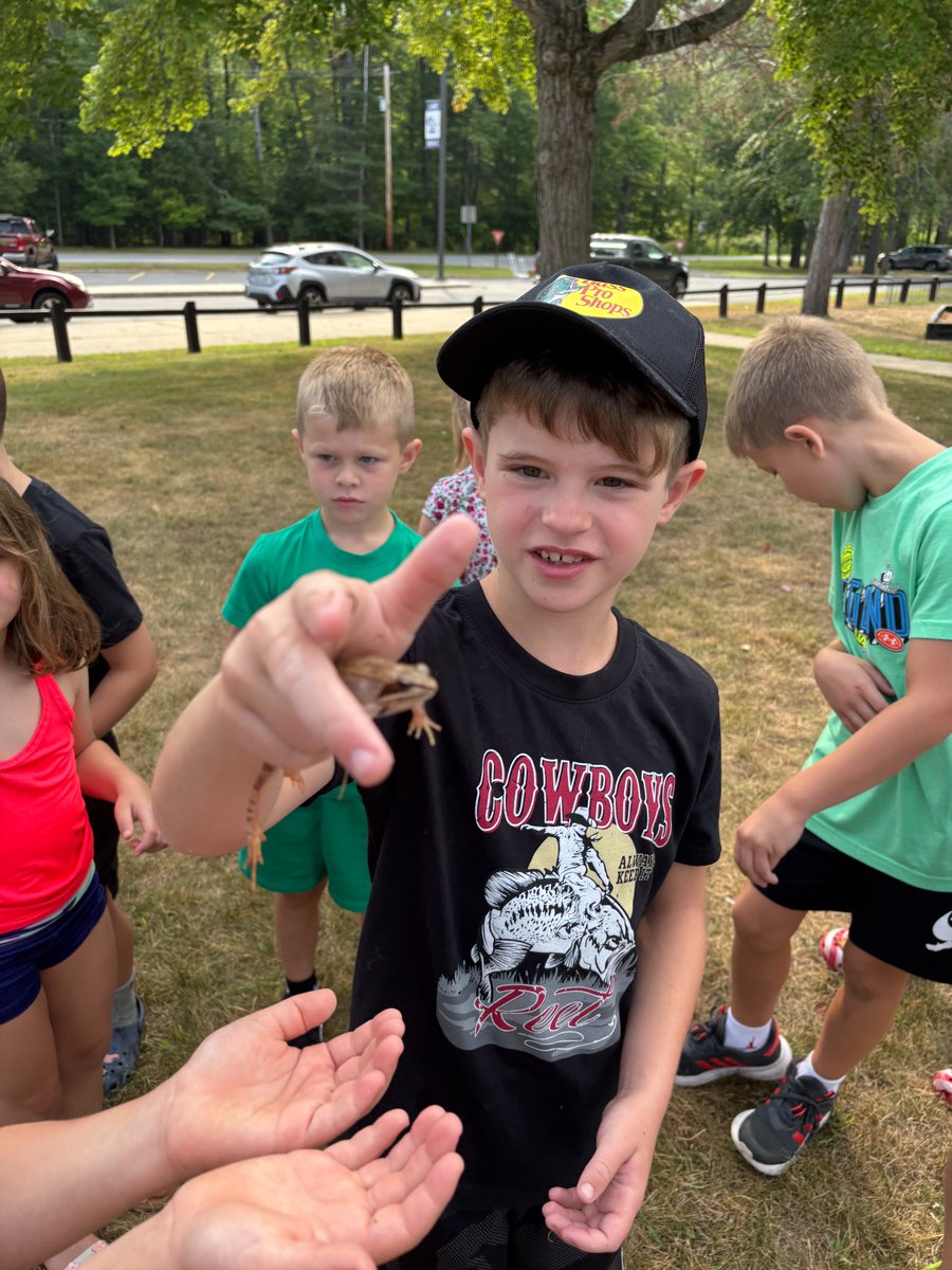 Lake George Elementary Library tweet media