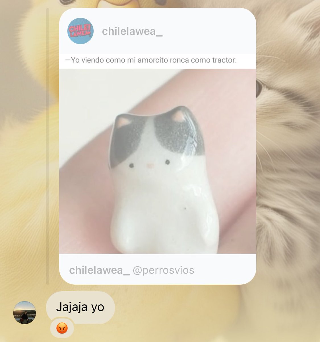 abigaildz_'s tweet photo. Ronco una vez 
Pato: https://t.co/VP2FtTCkz1