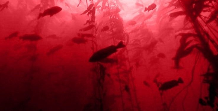 ༺ღ༒ 𝐸𝑔𝑒𝑟𝑖𝑎 ༒ღ༻ tweet media