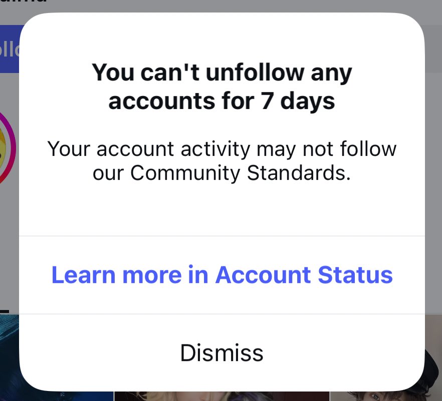 🍀Квіткова кола🌸 tweet media