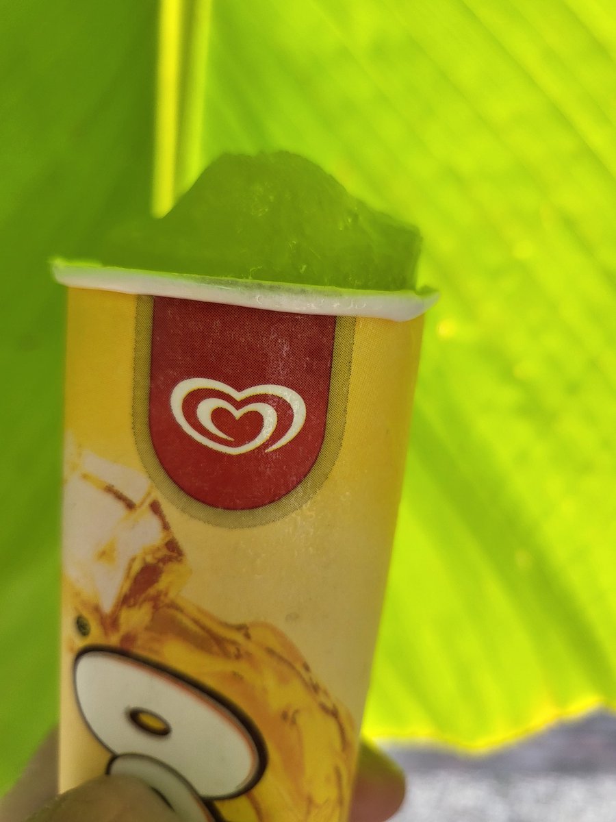 CeeJay0709's tweet photo. Even een #coolingdown
Welk ijs vinden jullie lekker?
#icecream #calippo #lime #zomer #Hitteplan #hittegolf https://t.co/6amjPuGH0k