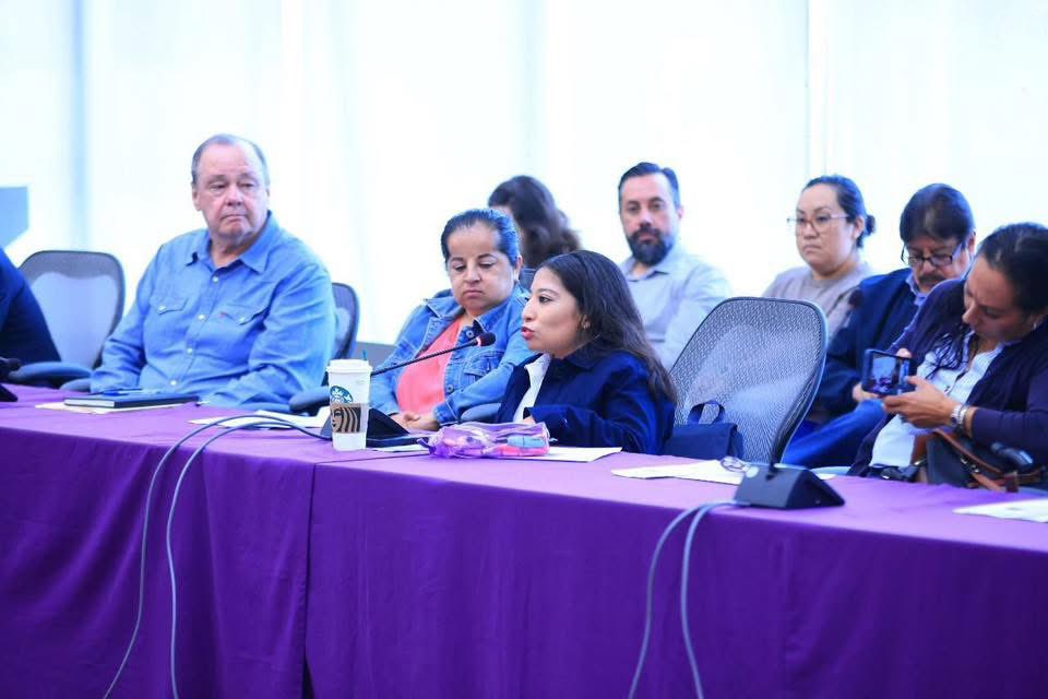 Desde la Secretaría de Derechos Humanos impulsamos la participación de personas con discapacidad para recibir su punto de vista sobre 5 productos legislativos que se encuentran en proceso de análisis en el Congreso Local.