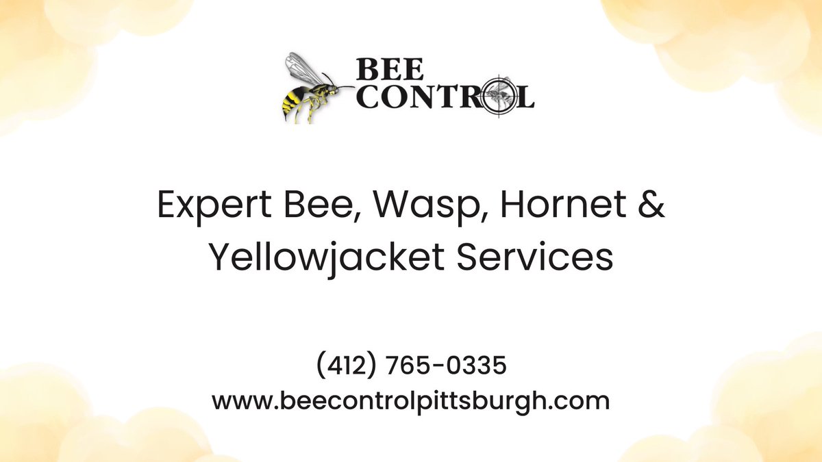 beecontrolpitts's tweet photo. 🐝 Don’t let bees, wasps, hornets, or yellowjackets take over! Bee Control Pittsburgh provides fast, effective removal & prevention to keep your home or business safe.
📞 (412) 765-0335
🔗 https://t.co/D9UZDQL4Ml
#BeeRemoval #PittsburghPestControl #WaspControl #HornetRemoval https://t.co/ZpiR4KvnSR