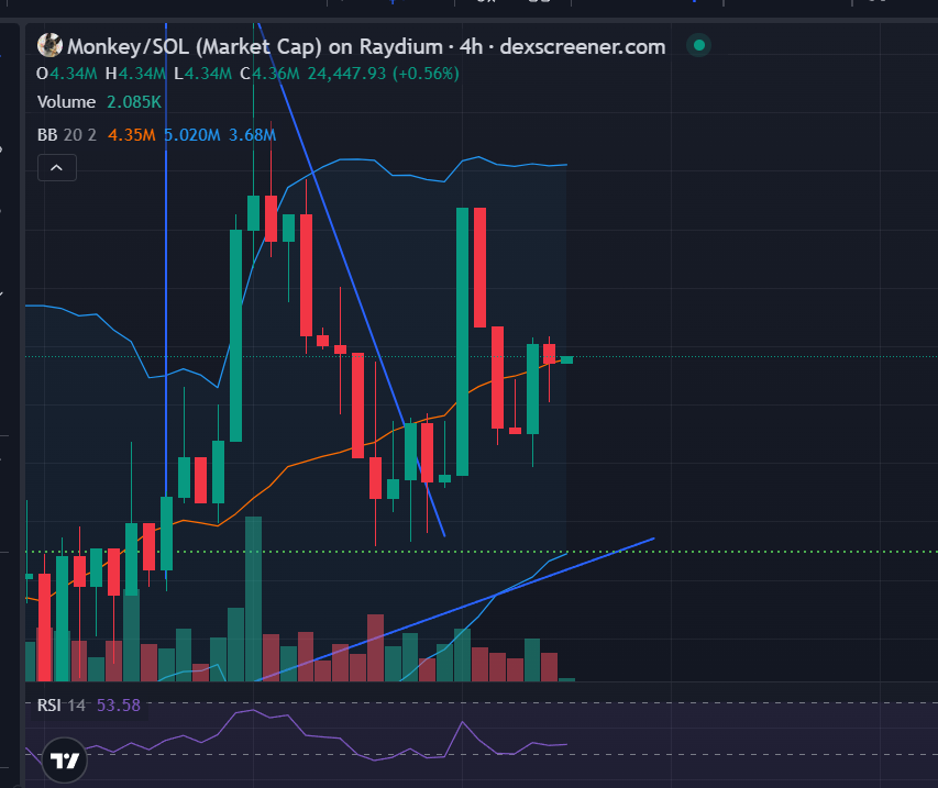 Are you ready? 👀 $monkey