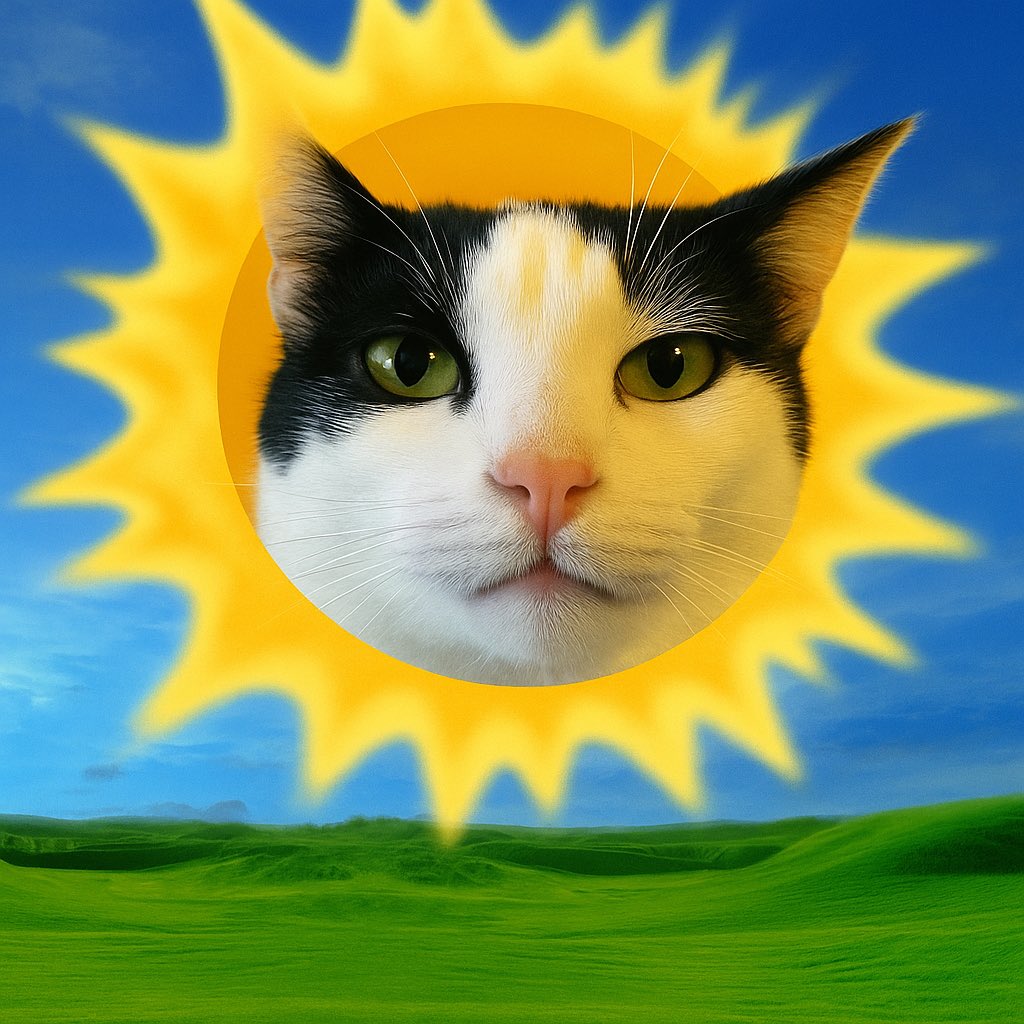 standwifmimi's tweet photo. GM ☀️ rise and shine 😺 https://t.co/w6iTE7XBw8