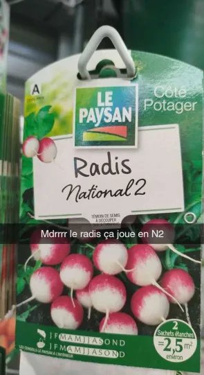 Out of Context National 2 (@nat2nocontext) on Twitter photo 