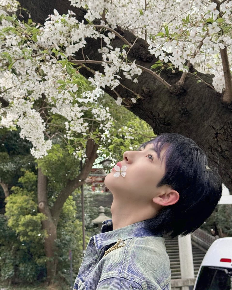 Renbjunn's tweet photo. A little bloom at my lips and I have been told I feel like a warm spring too. https://t.co/gANVdPhuus