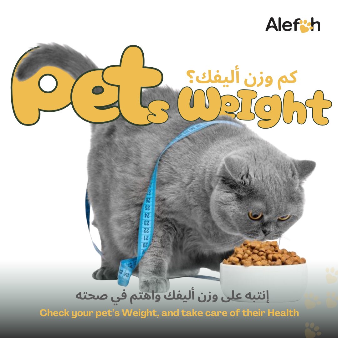 alefah_sa's tweet photo. الحفاظ على وزن أليفك مهم لأنه يؤثر بشكل مباشر على صحتها وجودة حياتها وطول عمرها

Maintaining a healthy weight is crucial for pets as it directly impacts their overall health, quality of life and longevity

#pethealth
 #alefah #الخبر #أليفك_وليفك #alefahclinics #petcare #الرياض https://t.co/FAjwqaK1da