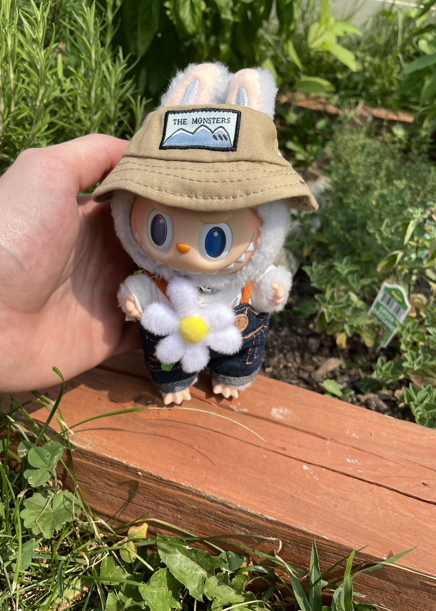 This is me. I’m a labubu now.