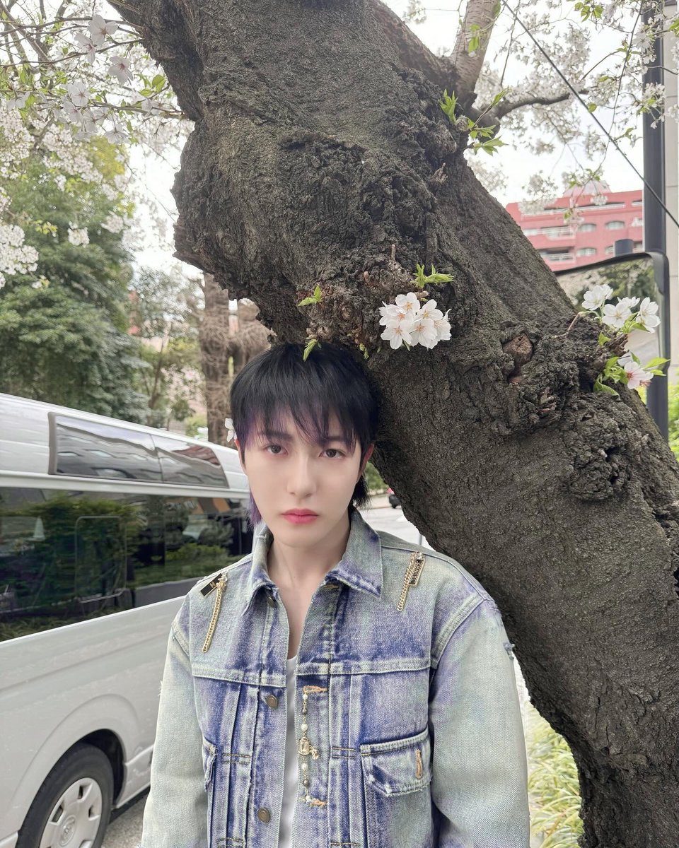 Renbjunn's tweet photo. Such is life—that now and then, I am bound to cross paths with the loveliest blooms. And perhaps, this moment is one of them. So why not steal a frame or two, to capture the quiet splendor of blossoms all around? Standing beneath the trees, as if to grow a little myself. https://t.co/jHrtUBfzVt