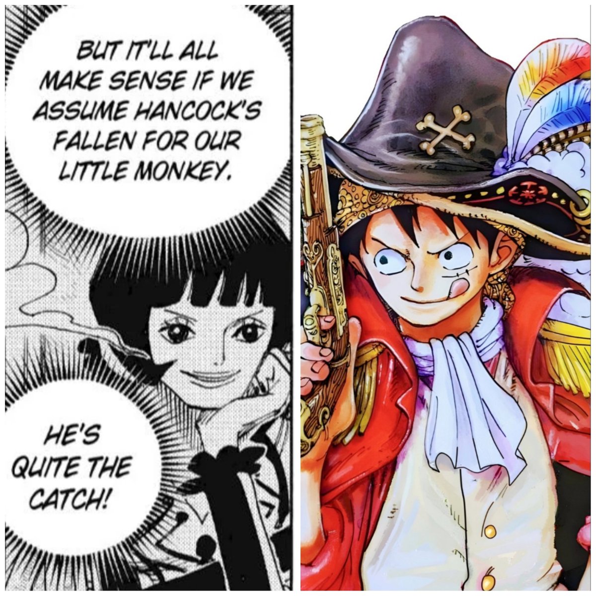 A reminder that Luffy is canonically handsome, said by Shakky herself