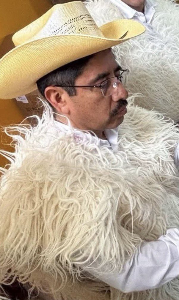 Ministra de oro // ministro de Temu