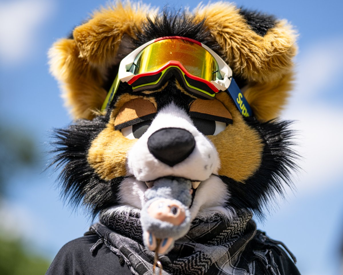 nomf (⁠ㆁ⁠ω⁠ㆁ⁠)

📸 <a href="/AutomataDog/">AutomataDog</a>