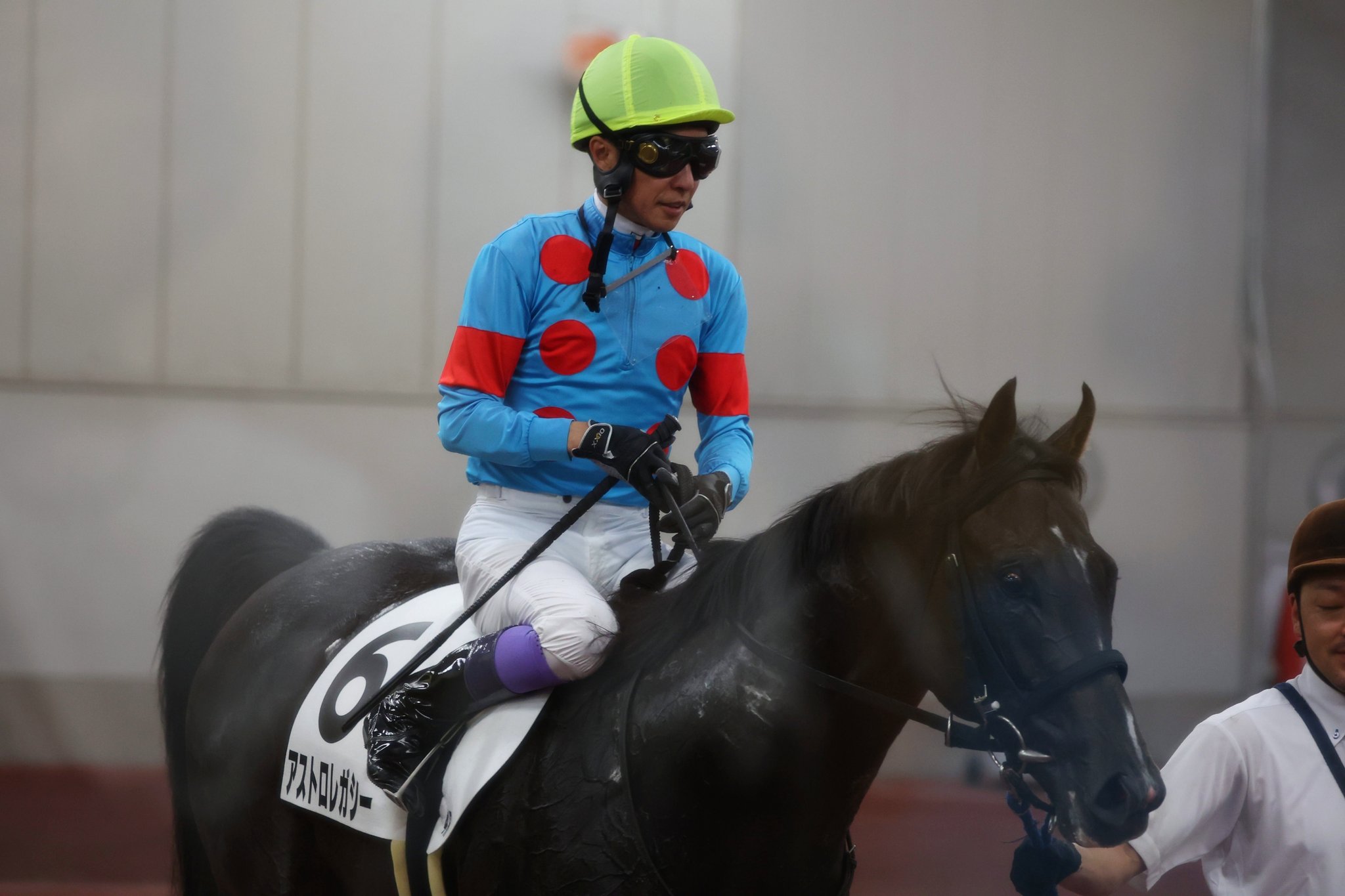 【値下対応可☻コメント欄にて】武豊ジョッキー、スポーツ紙記事まとめ 値下対応可☻コメント欄にて】武豊ジョッキー、スポーツ紙記事