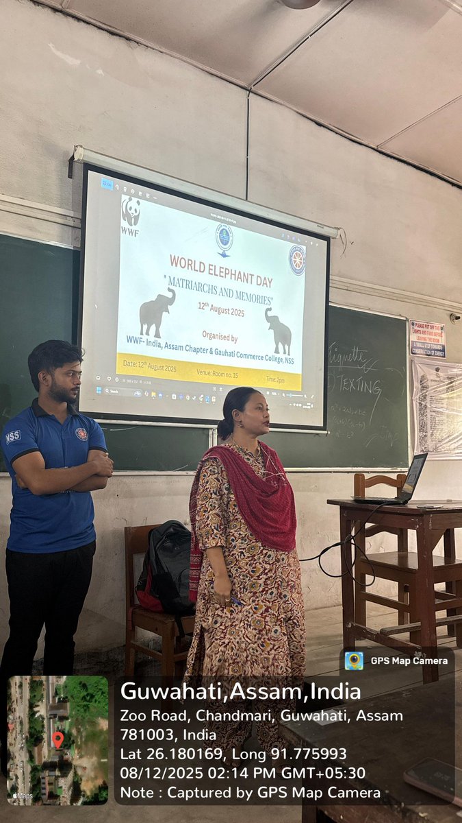 NSS_GCC's tweet image. Observing
#WorldElephantDay2025 Gauhati Commerce College NSSUnit with WWF-Assam chapter programme volunteers organized an awareness program on elephant conservation. Let’s promote awareness, protect habitats &amp;amp; ensure the survival of these gentle giants @_NSSIndia @nss_rdguwahati