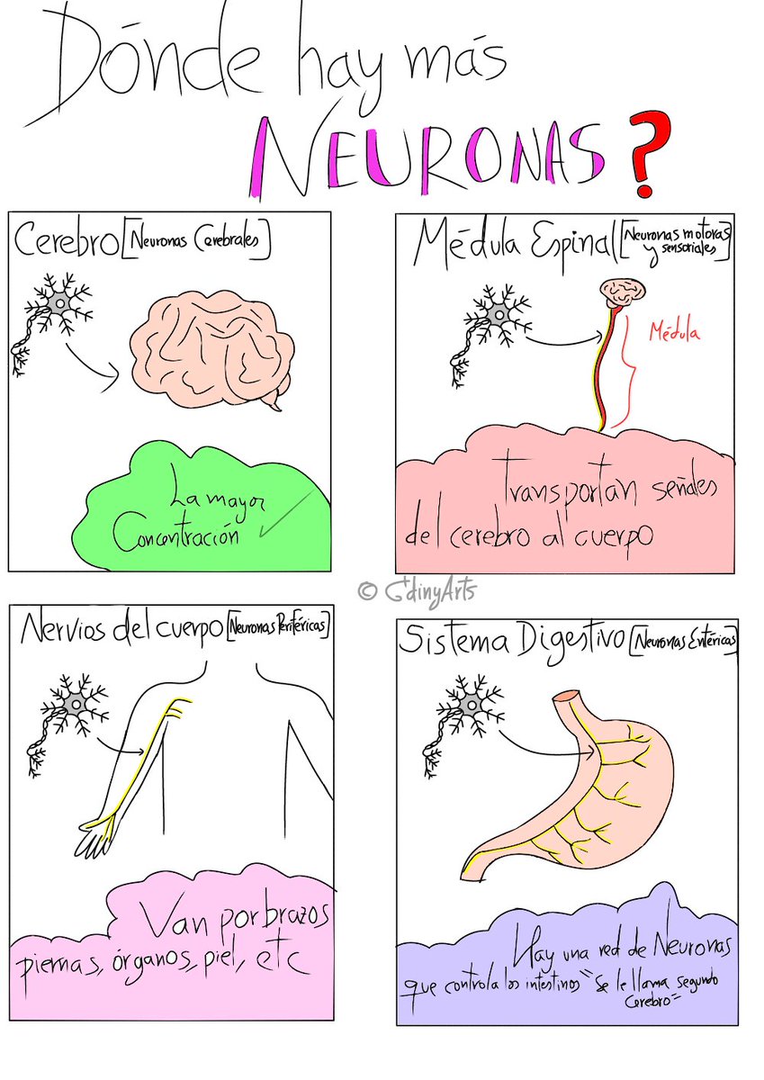 gdinyarts's tweet photo. #ilustration #ilustraciones #draw #dibujos #education #educativo #aprender #estudiantesdemedicina #free #gratis #descargagratis  #estudiantesdeenfermeria #fyp #paratii #follow_me❤️ #siguemeparamàs ✨☺️ #ilustracionespersonalizadas https://t.co/Mgr7VS3pAJ