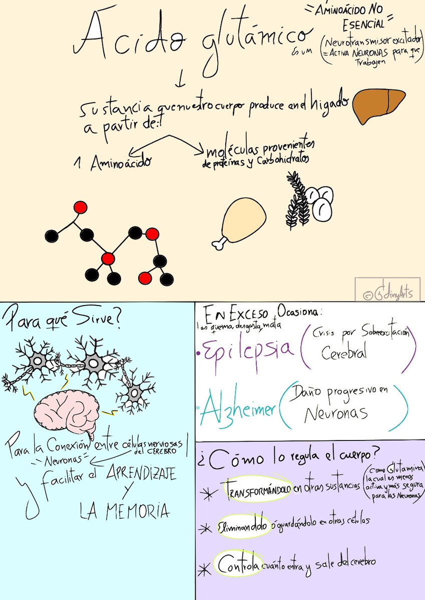 gdinyarts's tweet photo. #ilustration #ilustraciones #draw #dibujos #education #educativo #aprender #estudiantesdemedicina #free #gratis #descargagratis  #estudiantesdeenfermeria #fyp #paratii #follow_me❤️ #siguemeparamàs ✨☺️ #ilustracionespersonalizadas https://t.co/Mgr7VS3pAJ