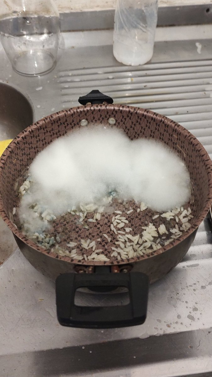 ______geni's tweet image. fiz algodão doce em casa só com arroz gente!!! mtttt fácil e fica uma deliiiiciaaaaa.. zero açúcar